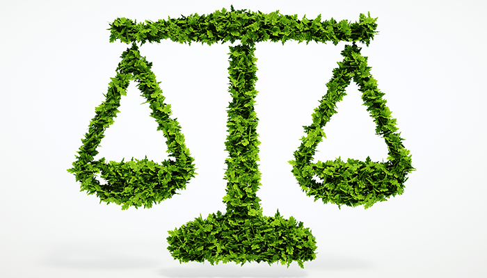 Legislação Ambiental Aplicada ao Setor Público e Privado