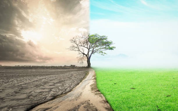 Gestão de Paisagens e Recursos Naturais