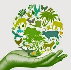 Conservação da Biodiversidade
