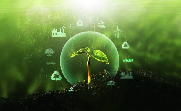  Desenvolvimento Sustentável e Economia Verde