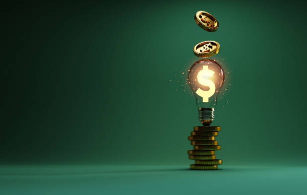 Gestão de Parcerias Público-Privadas (PPPs)