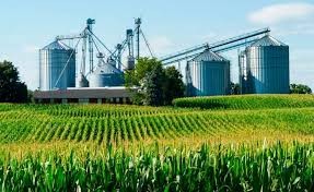 Agroindústria e Agregação de Valor