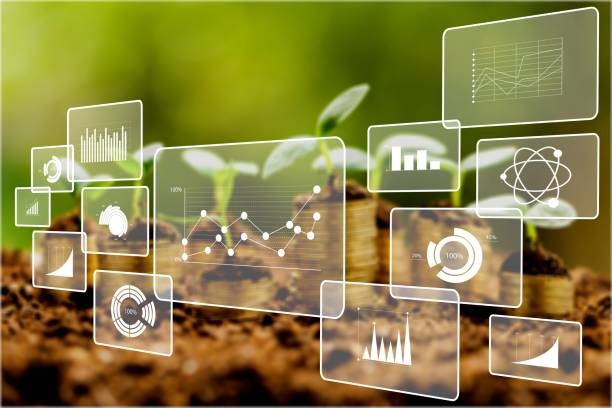 Cadeias Produtivas e Comercialização Agrícola