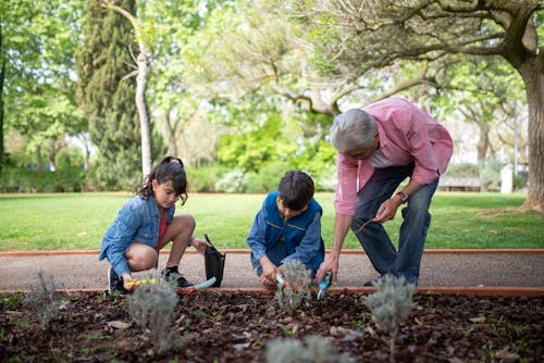 Educação Ambiental e Conservação do Solo