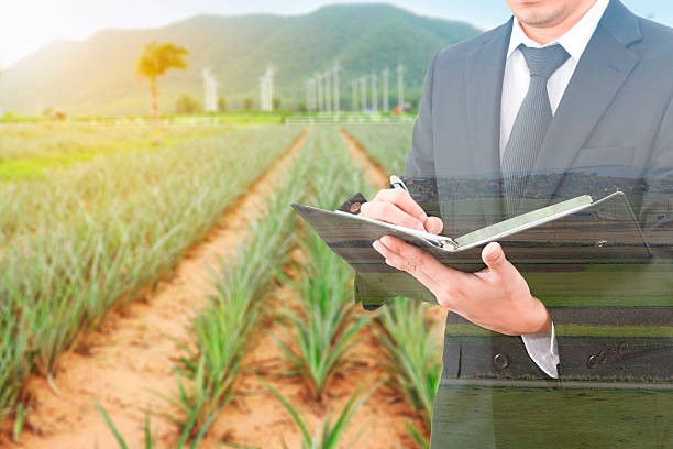 Legislação Agrária e Regularização Fundiária