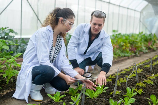 Segurança Alimentar e Desenvolvimento Rural